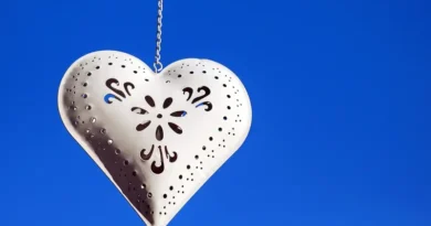 Foto love | ilustrasi google