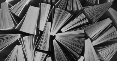 Ilustrasi google | Peran kebijaksanaan di tengah derasnya arus informasi