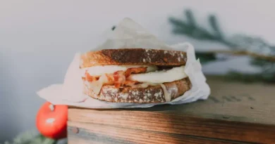 Sandwich menggambarkan generasi muda