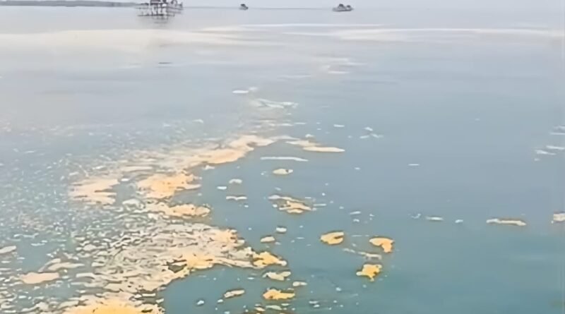 limbah berwarna kuning disekitaran laut tempat nelayan mencari ikan