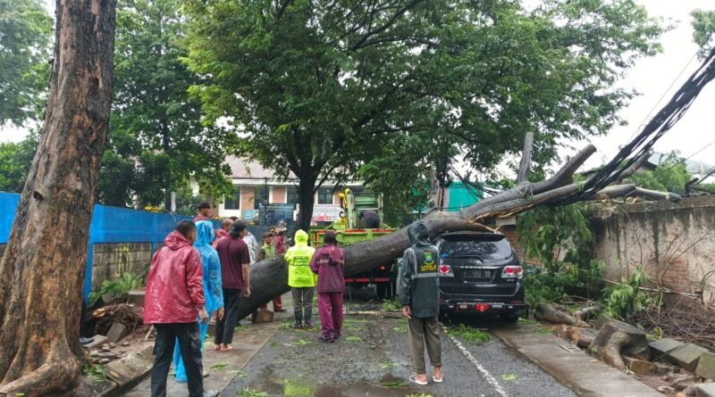 Pohon tumbang menimpa mobil di Cikokol, Tangerang