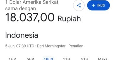 Hasil screenshot google nilai tukar rupiah terhadap dolar