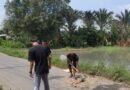 Mahasiswa Kuliah Kerja Mahasiswa (KKM) Universitas Primagraha (UPG) Kelompok 17 Kelurahan Pengampelan