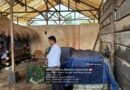 Penemuan derigen sekitar tujuh jerigen kosong oleh Kabidhumas Polda Banten Kombes Pol Maruli Ahiles Hutapea 